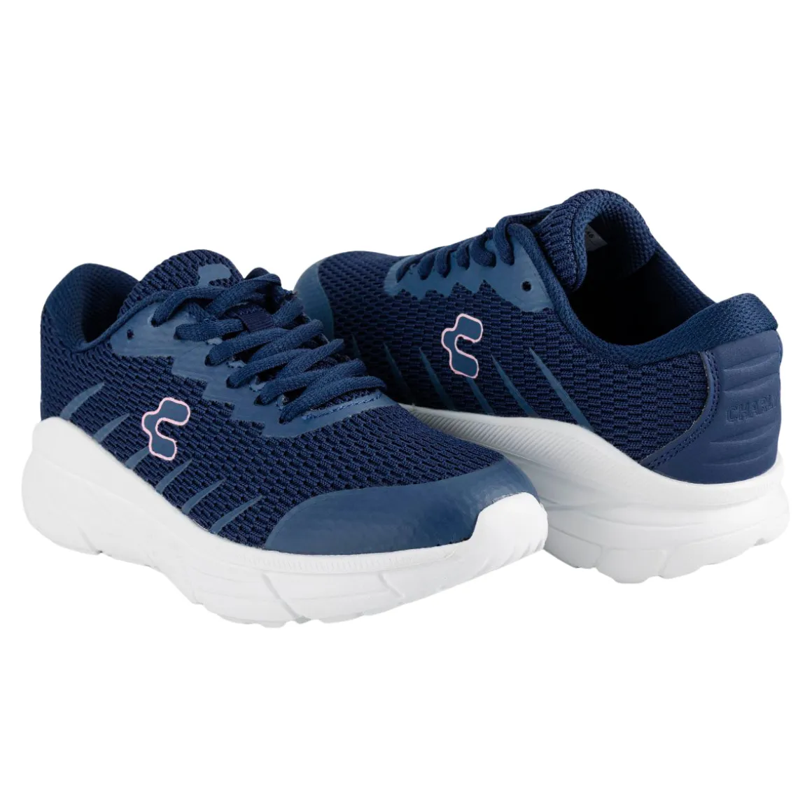 Tenis Charly Para Mujer Charly Burdex Lifestyle Sport 06950/51